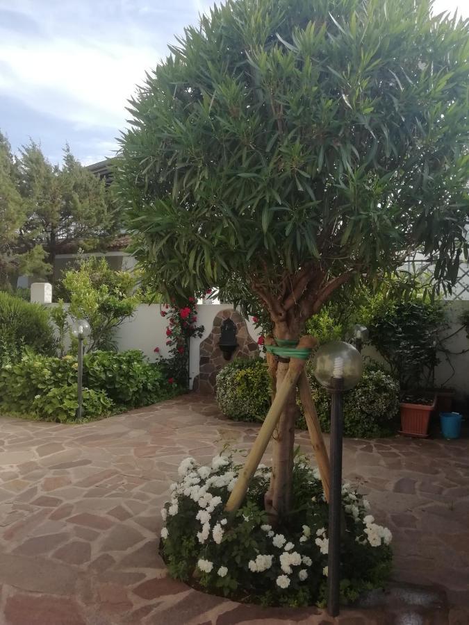 Casa Vacanze Villa Rosa Cala Gonone Ngoại thất bức ảnh