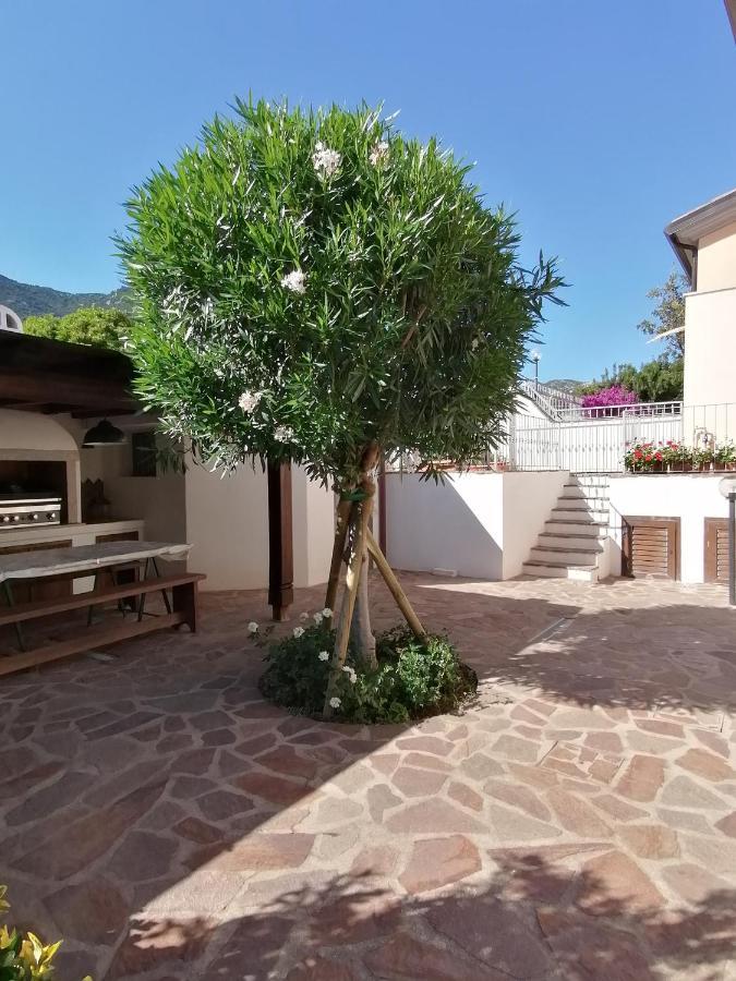Casa Vacanze Villa Rosa Cala Gonone Ngoại thất bức ảnh